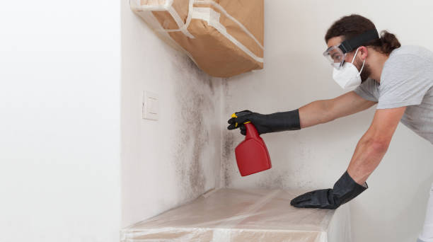 Professional Mold Removal technician working in Houston, TX