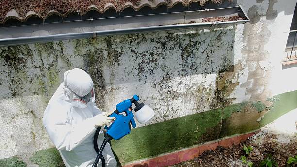 Trusted Bathroom Mold Removal service in Houston, TX - Cheap Mold Removal